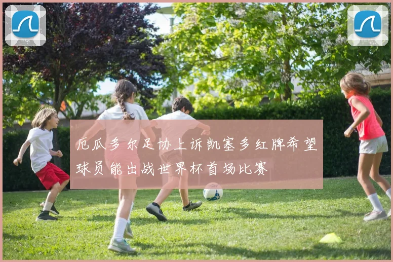 厄瓜多尔足协上诉凯塞多红牌希望球员能出战世界杯首场比赛