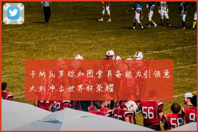 卡纳瓦罗称加图索具备能力引领意大利冲击世界杯荣耀
