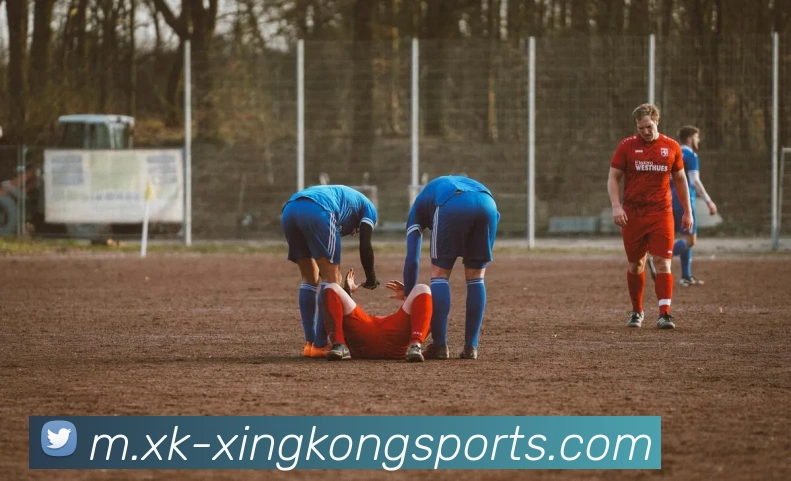 星空体育平台生态图